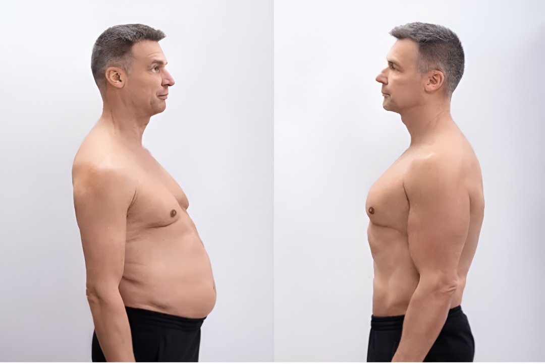Fat vs Muscle Volume Comparison
